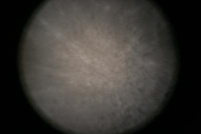 img_7341.jpg